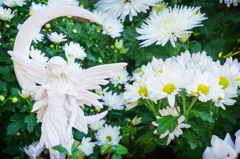 flowers T Hamilton Memorials flowers